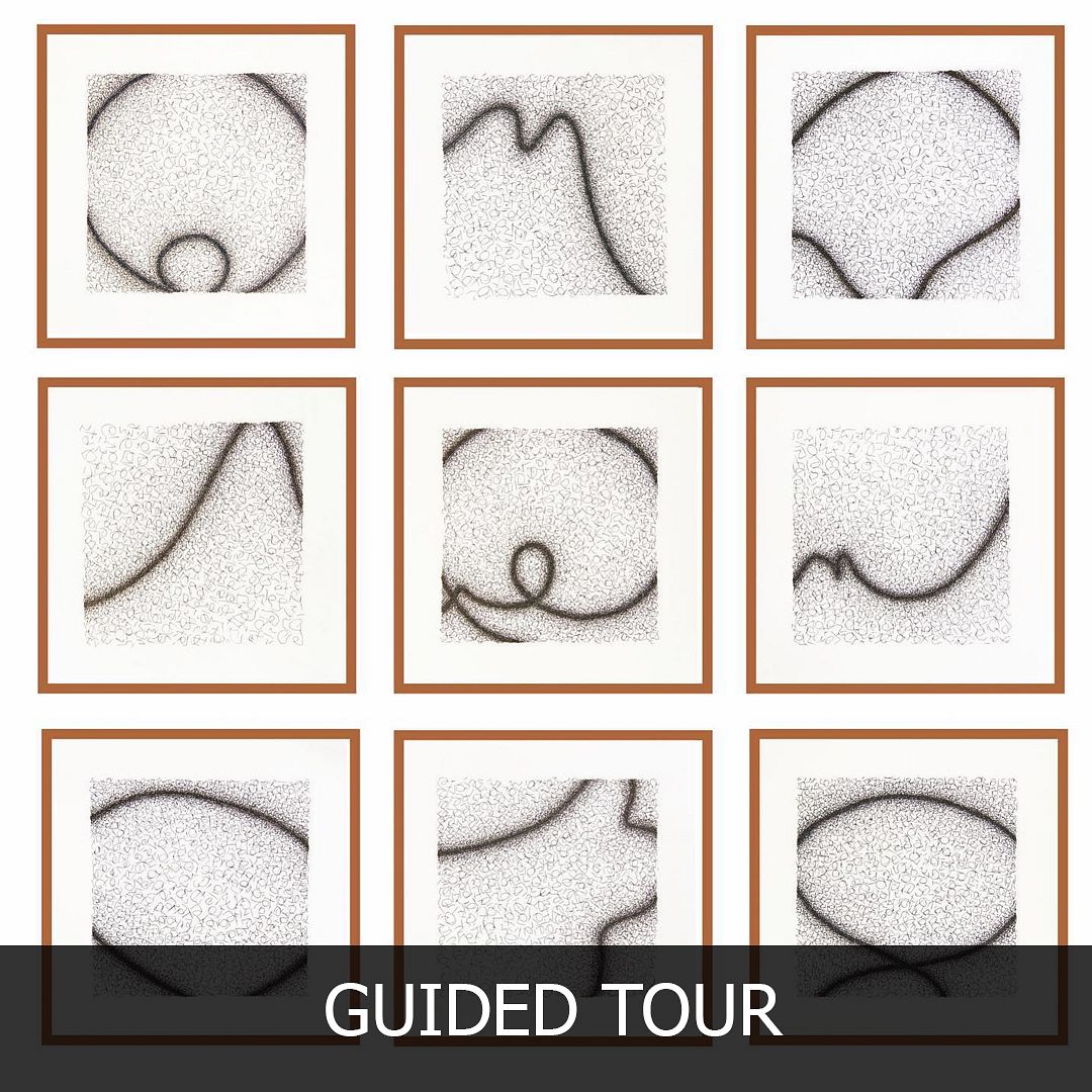 GUIDED TOUR #156: 'FUGUES' BY MAHMOUD HAMADANI thumbnail