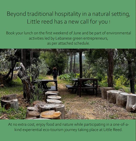 BEYOND TRADITIONAL HOSPITALITY IN A NATURAL SETTING, LITTLE REED HAS A NEW CALL FOR YOU ! thumbnail