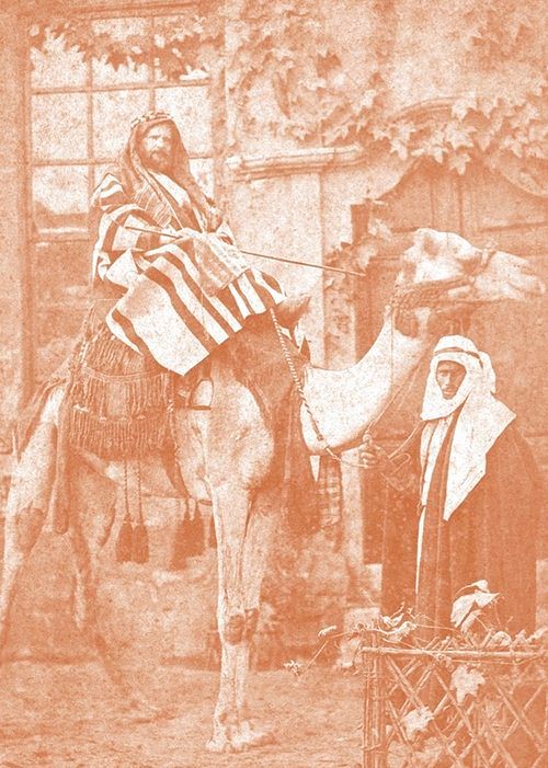 Alcântara: The Travels of the Brazilian Emperor Dom Pedro II in the Arab World in 1871 and 1876 thumbnail